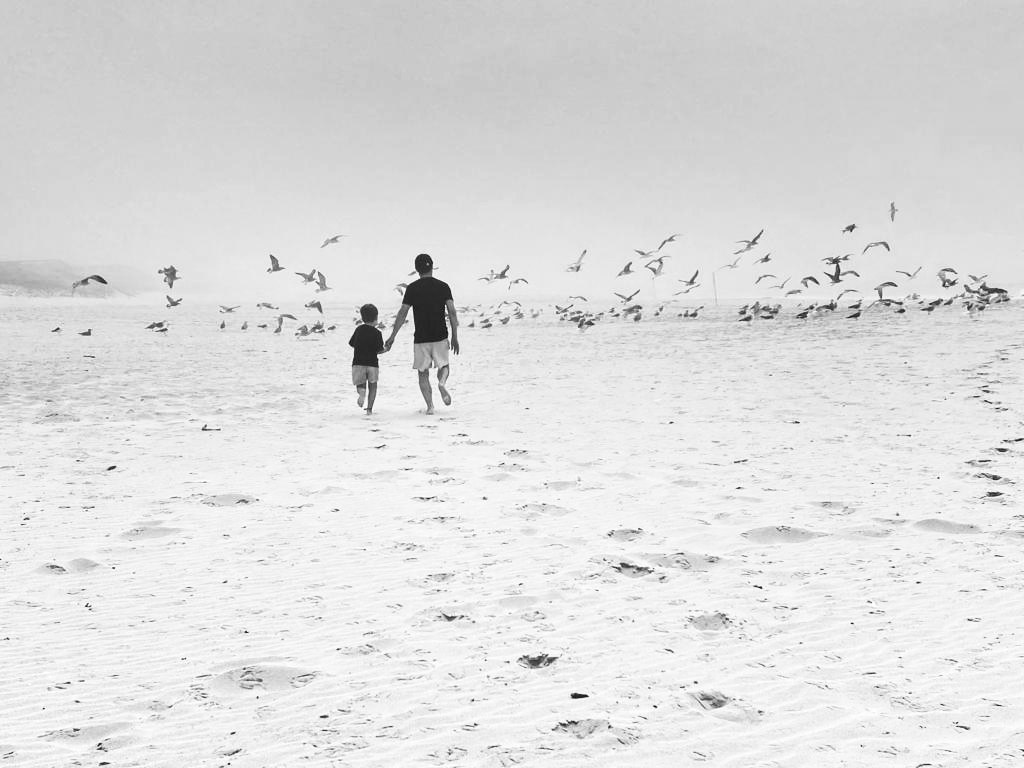 Ricardo and his son walk hand in hand across a misty beach, barefoot, as gulls lift into the air around them.